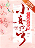 夫人跟老爷的小妾跑了怎么样